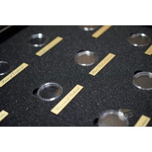 The Royal Tudor Beasts Presentation Case for 10 Gold Coins 1/4 Oz in capsules