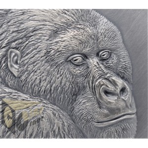 Mountain Gorilla 2 Oz - Expressions of Wildlife - 2021 Cameroon 