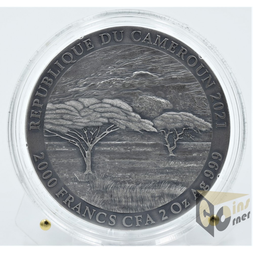 Mountain Gorilla 2 Oz - Expressions of Wildlife - 2021 Cameroon 