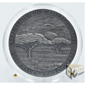 Mountain Gorilla 2 Oz - Expressions of Wildlife - 2021 Cameroon 