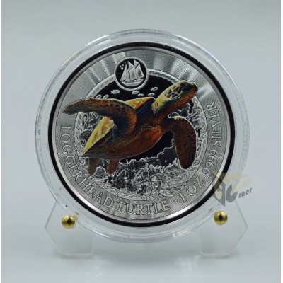 Cayman Islands 2023 Loggerhead Turtle Sea Life Series 1 oz Silver Proof Colorized Coin