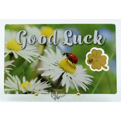 Good Luck Cloverleaf Shaped 1/1000 Oz 999 Gold Coin 3000 Francs Chad