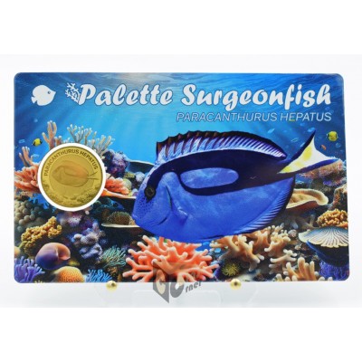 Surgeon Fish 1/1000 Oz 999 Gold Coin 3000 Francs Chad