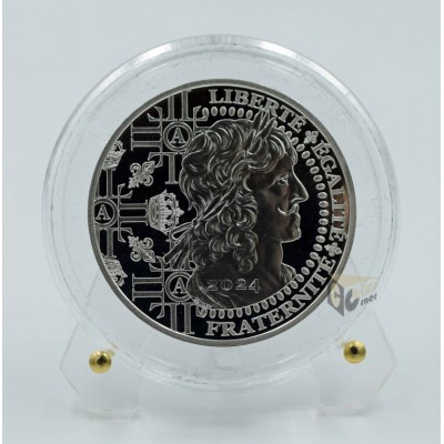 France 2024 20 euro Louis XIII Ors de France Silver Proof Coin 