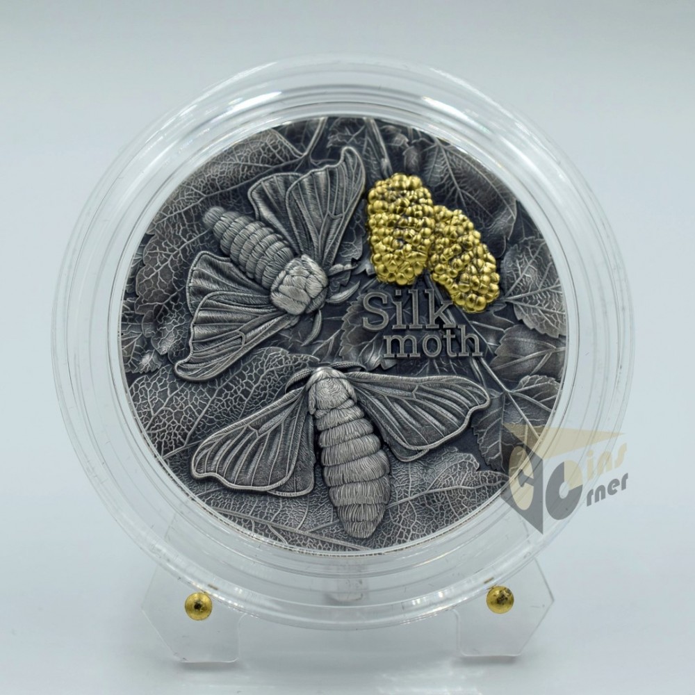 Silk Moth Nature Architects - 2023 Ghana