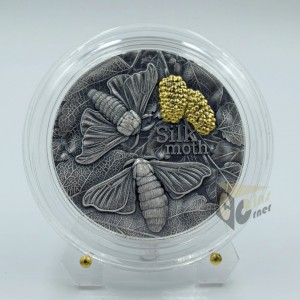 Silk Moth Nature Architects - 2023 Ghana