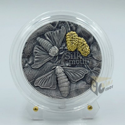 Silk Moth Nature Architects - 2023 Ghana