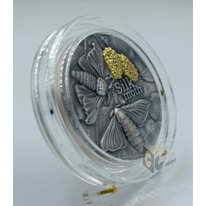 Silk Moth Nature Architects - 2023 Ghana