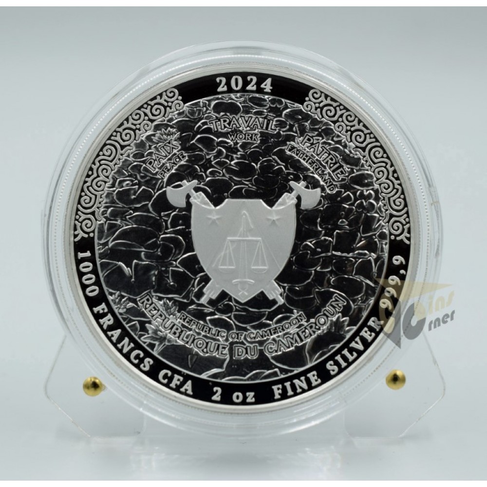  Cameroon 2024 Sword of Destiny - The Witcher Book Series - 2 oz Silver Coin