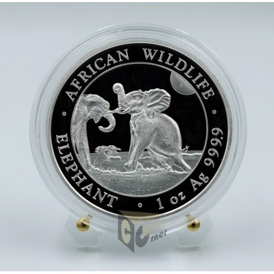 Elephant African Wildlife  1 Oz - 2024 Somalia
