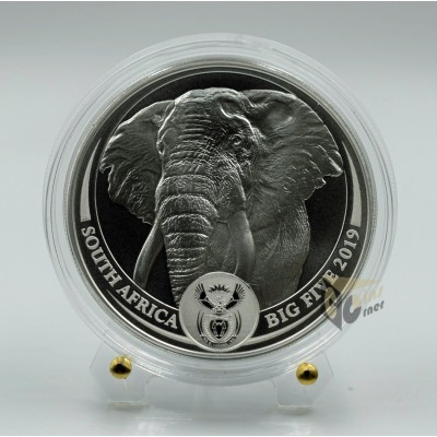 Elephant The Big Five  1 Oz - 2019 South Africa 