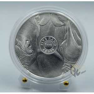 Rhino The Big Five  1 Oz - 2020 South Africa 