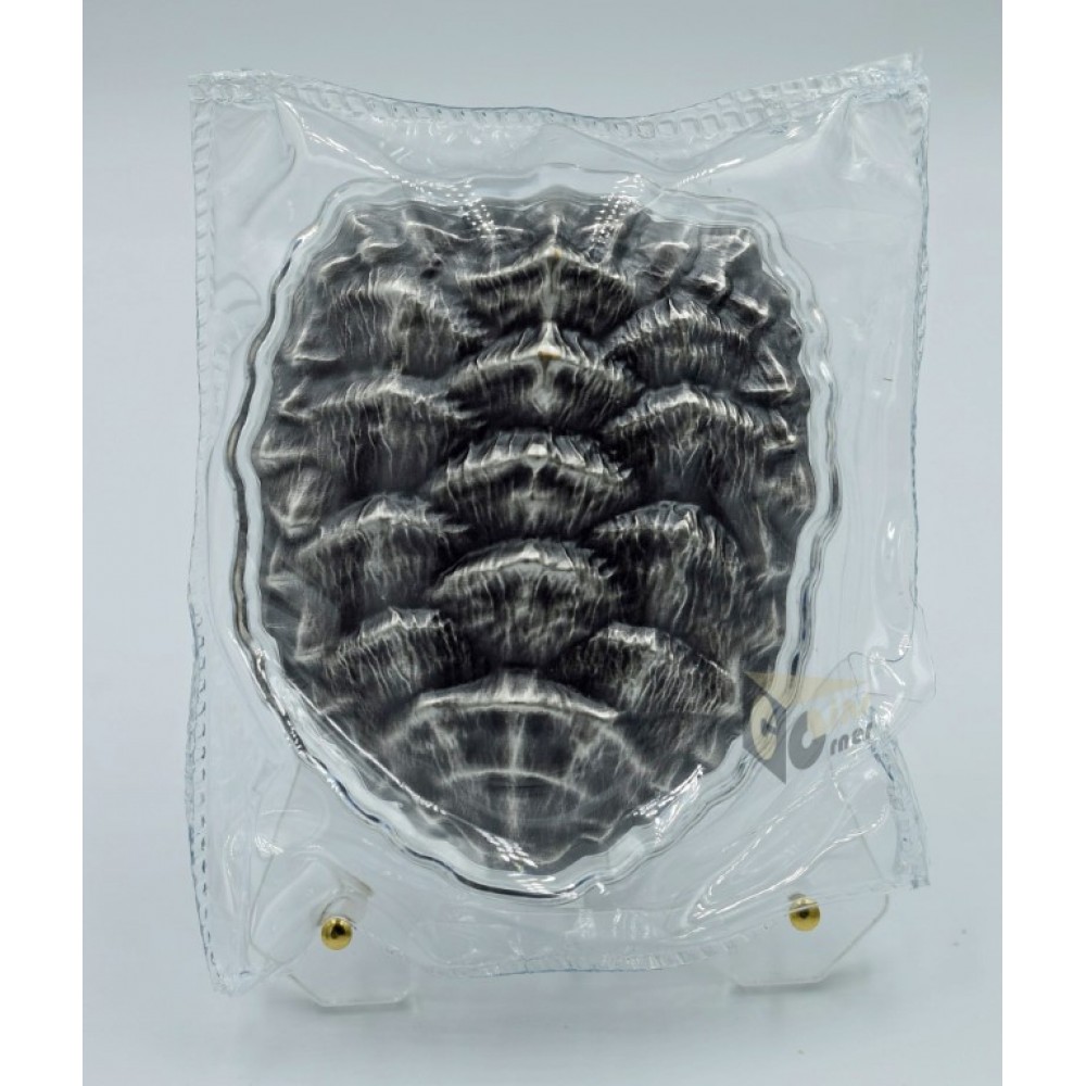 South Korea 2023 Snapping Turtle Turtle Shell 2 Oz Antique Finish Silver Stackable 