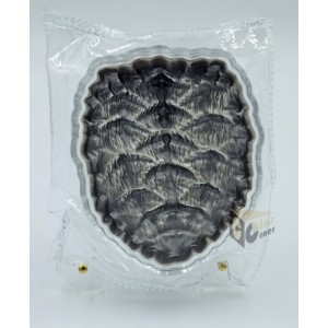South Korea 2023 Snapping Turtle Turtle Shell 2 Oz Antique Finish Silver Stackable 
